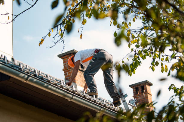 Best Roof Maintenance Services  in Hayfield, VA