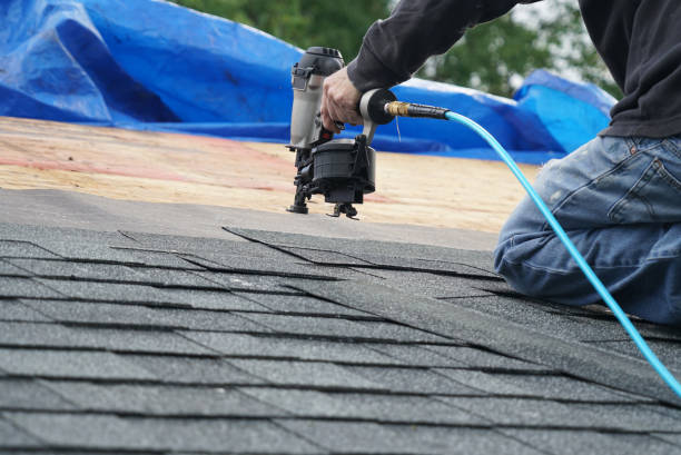 Best Flat Roof Repair Services  in Hayfield, VA