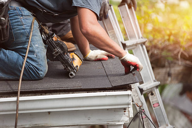 Best Roof Maintenance Services  in Hayfield, VA