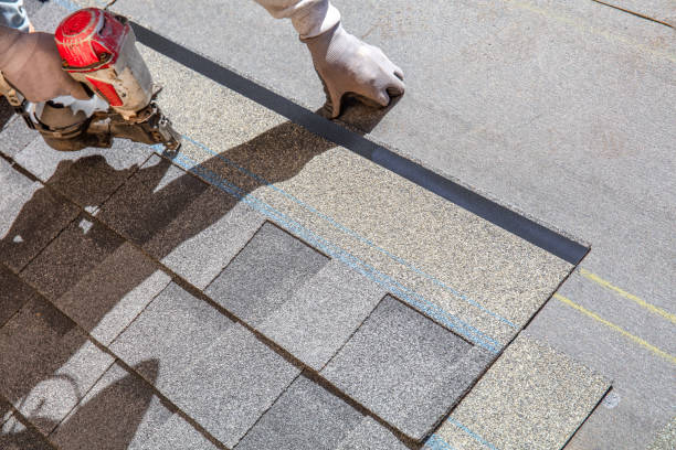 Best Roof Maintenance Services  in Hayfield, VA