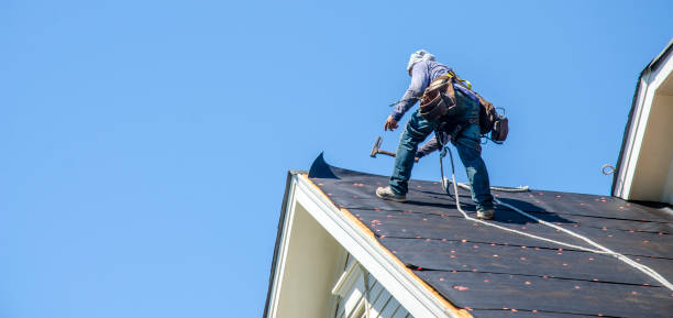 Best Metal Roofing Contractor  in Hayfield, VA